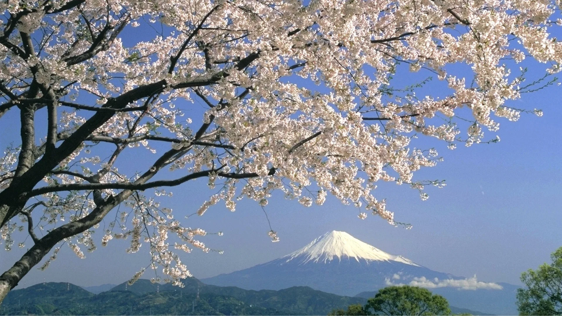 薩埵峠から望む富士山と駿河湾